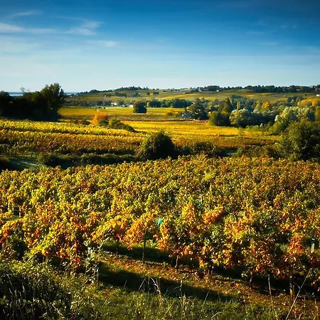 펜션 French Vineyard Vacations *