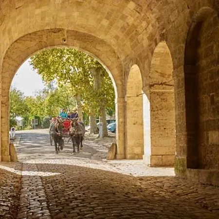 French Vineyard Vacations 블라이