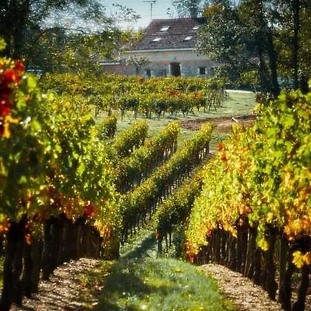 펜션 French Vineyard Vacations 블라이